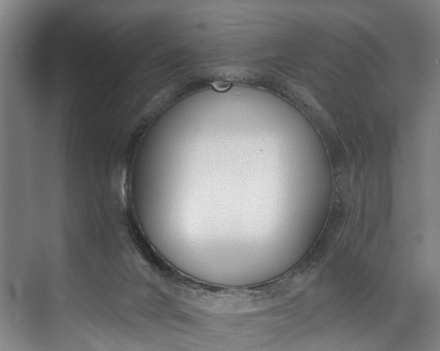 X0000072950024200608041319