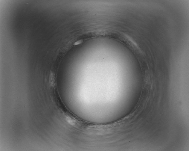 X0000072950025200608041319