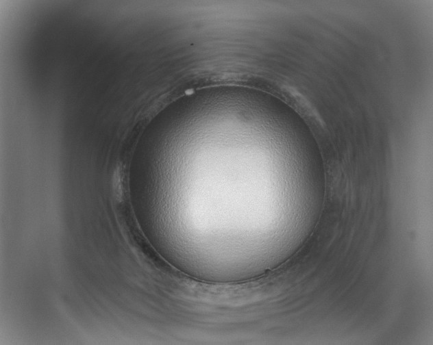 X0000072950026200608041319