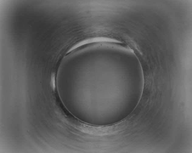 X0000072950027200608041319