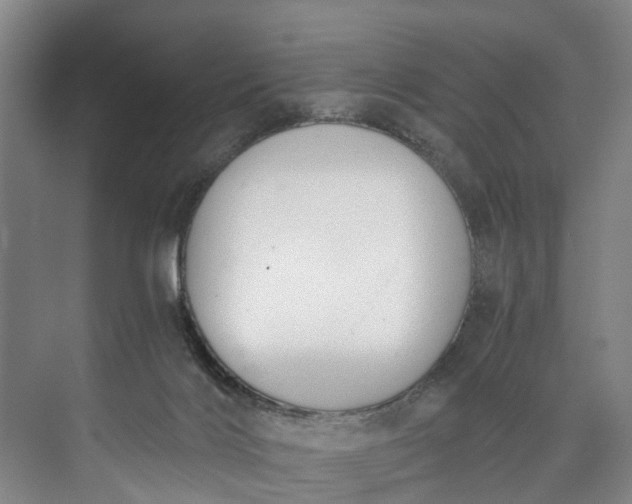 X0000072950028200608041319