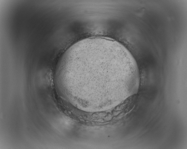 X0000072950029200608041319