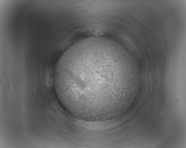 X0000072950030200608041319