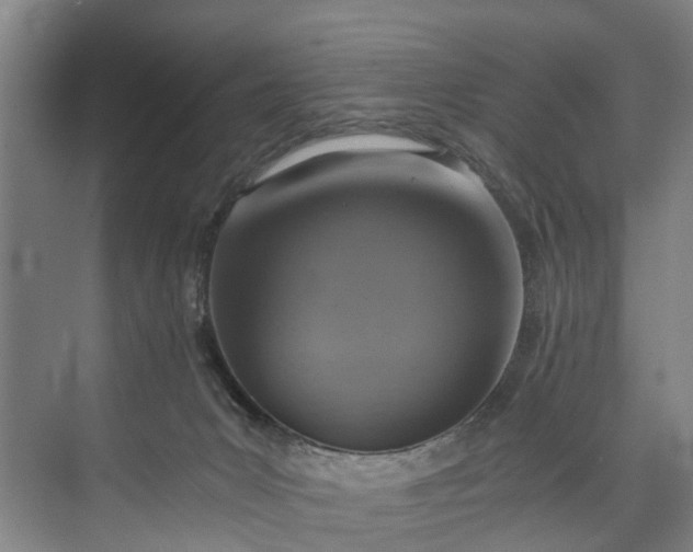 X0000072950031200608041319