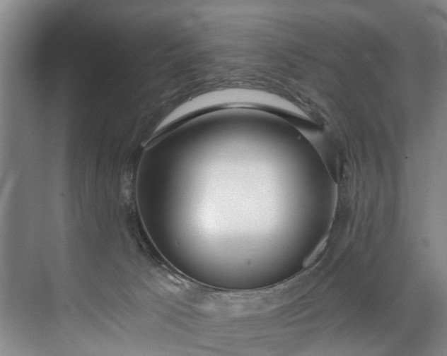 X0000072950033200608041319