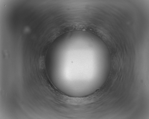 X0000072950034200608041319