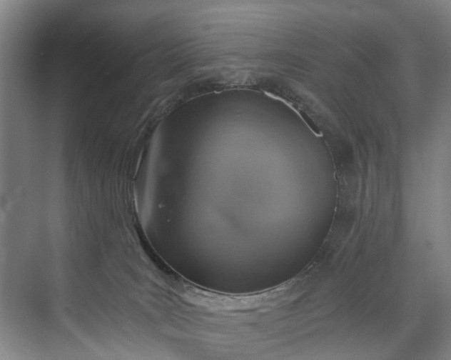 X0000072950035200608041319