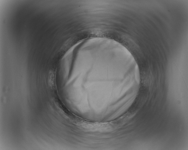 X0000072950036200608041319