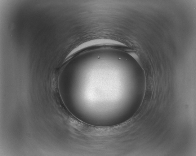 X0000072950037200608041319