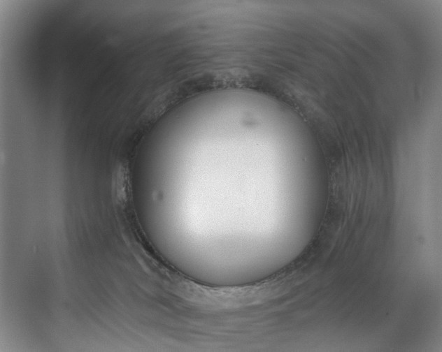 X0000072950038200608041319