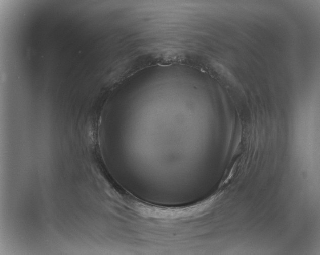 X0000072950039200608041319