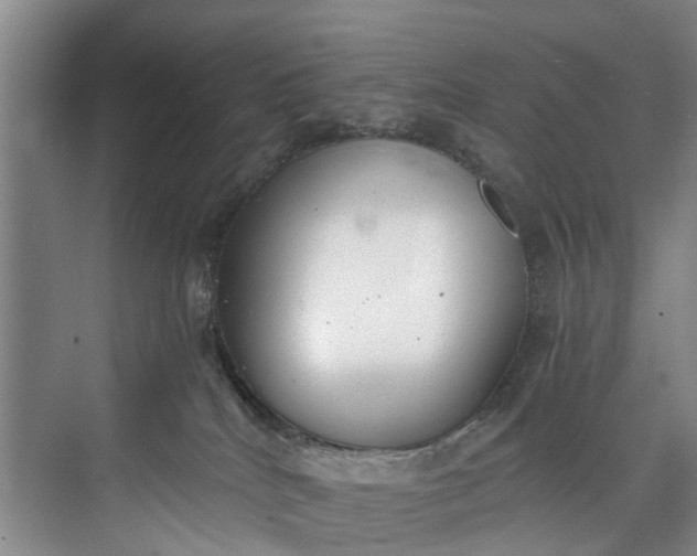 X0000072950040200608041319