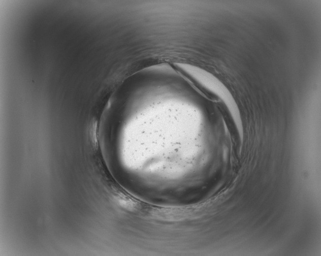 X0000072950041200608041319