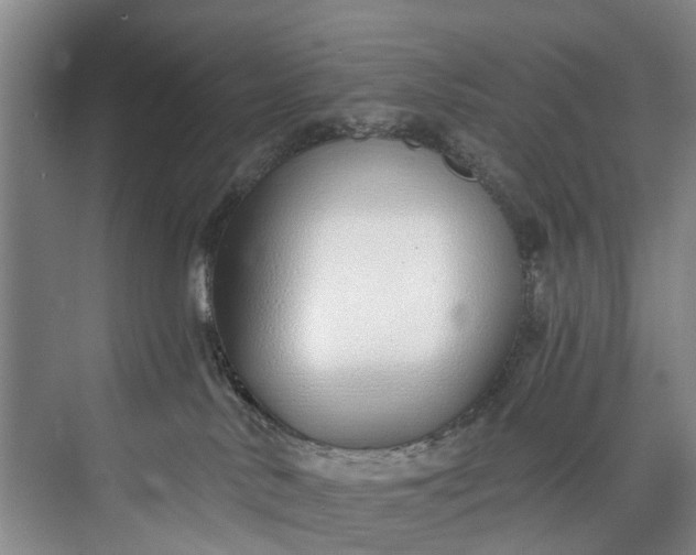 X0000072950042200608041319