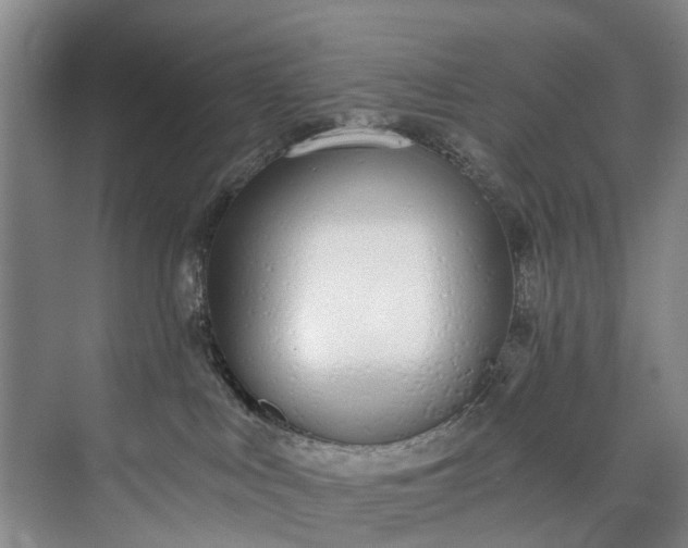 X0000072950043200608041319