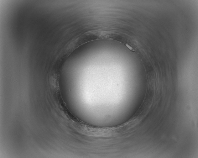 X0000072950044200608041319