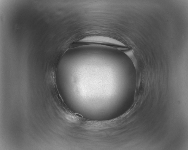 X0000072950045200608041319