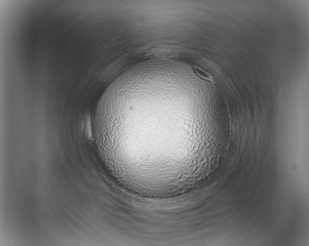 X0000072950046200608041319