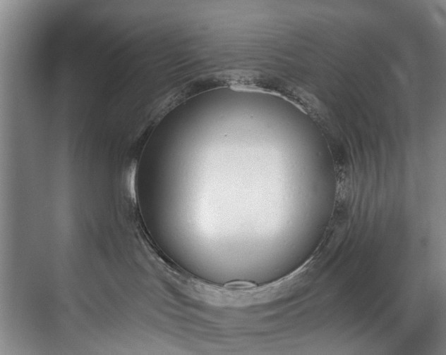 X0000072950047200608041319