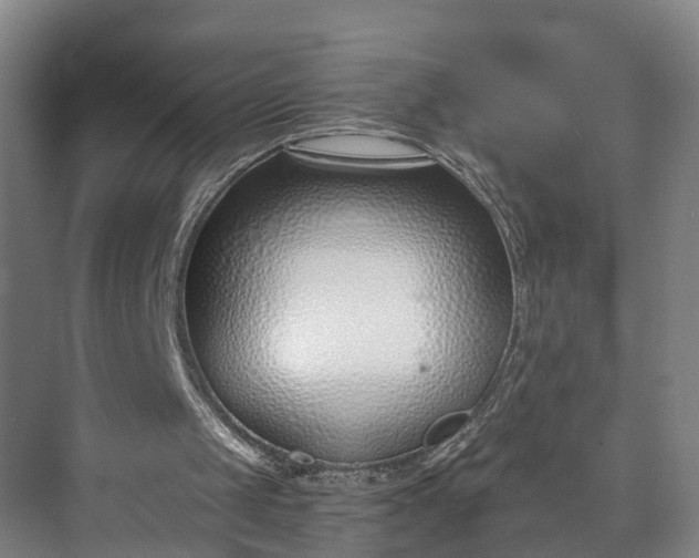 X0000072950049200608041318