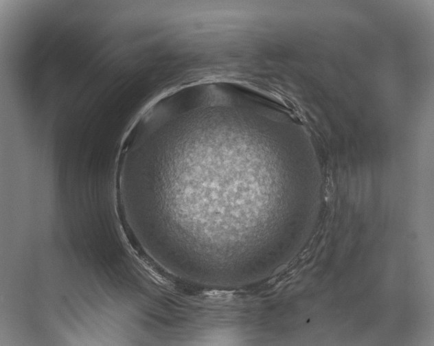 X0000072950052200608041318