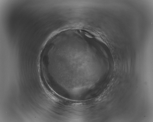 X0000072950054200608041318