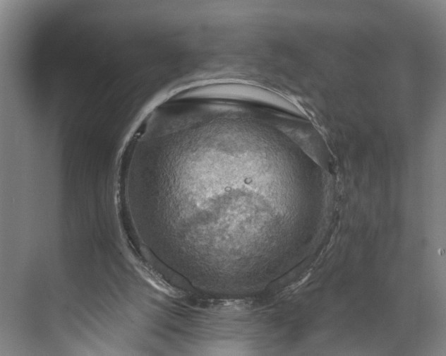 X0000072950056200608041318