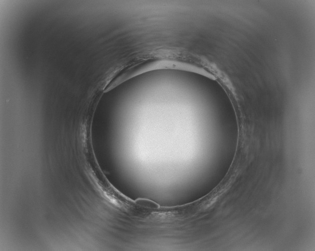 X0000072950057200608041318