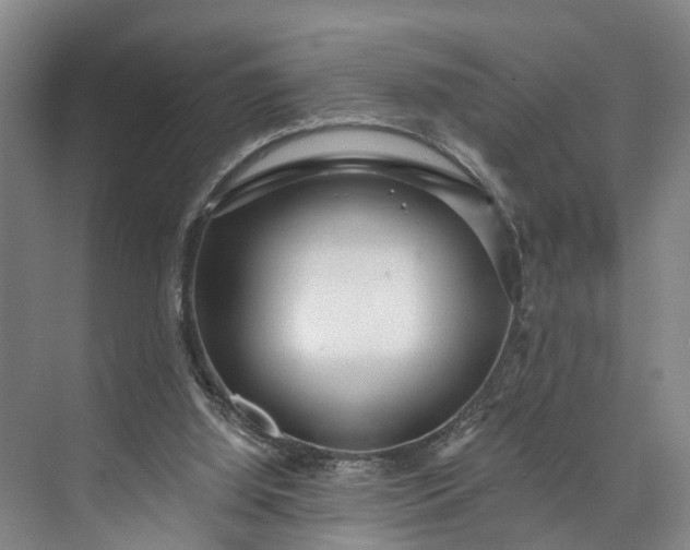 X0000072950060200608041318