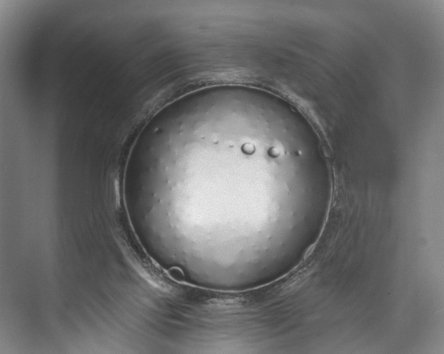 X0000072950061200608041318