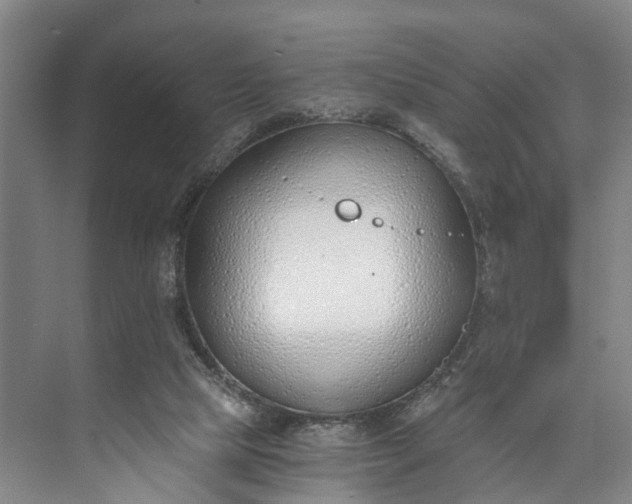 X0000072950065200608041318