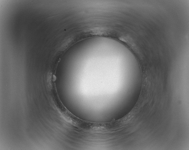 X0000072950066200608041318