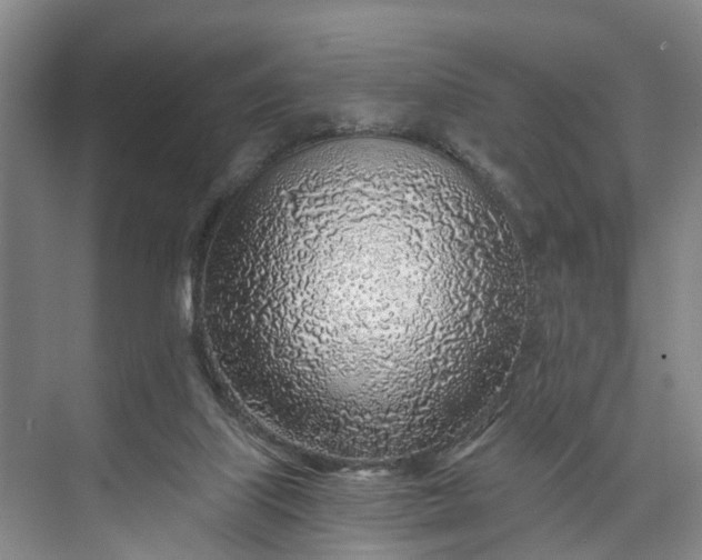 X0000072950067200608041318