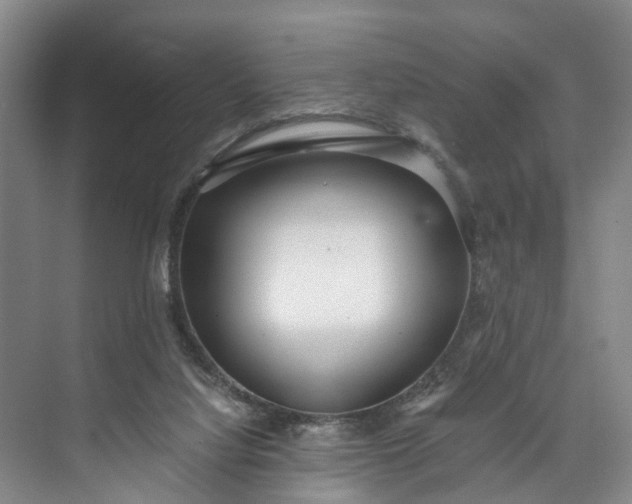 X0000072950068200608041318