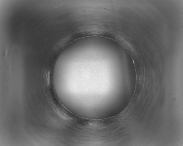 X0000072950070200608041318