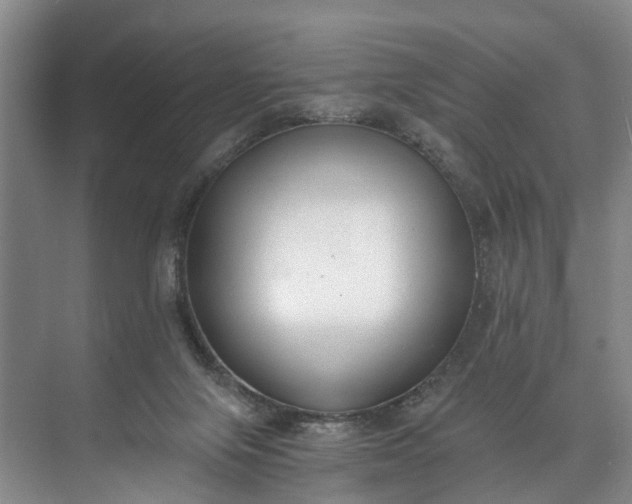 X0000072950071200608041318