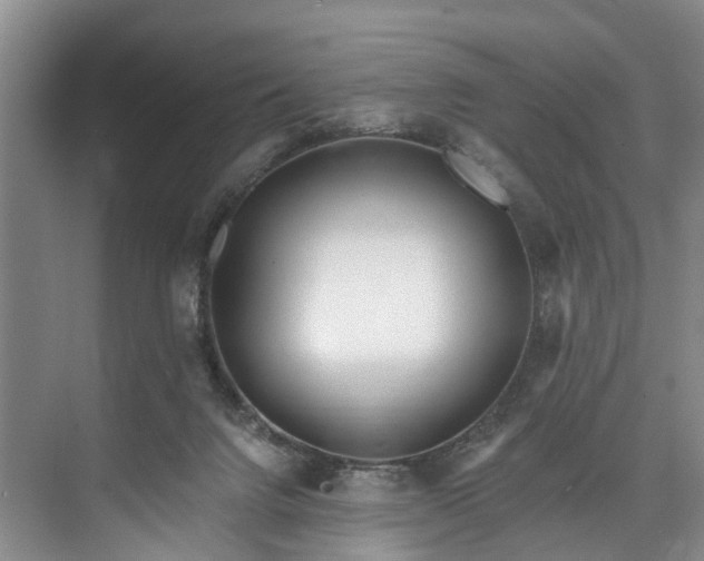 X0000072950072200608041318