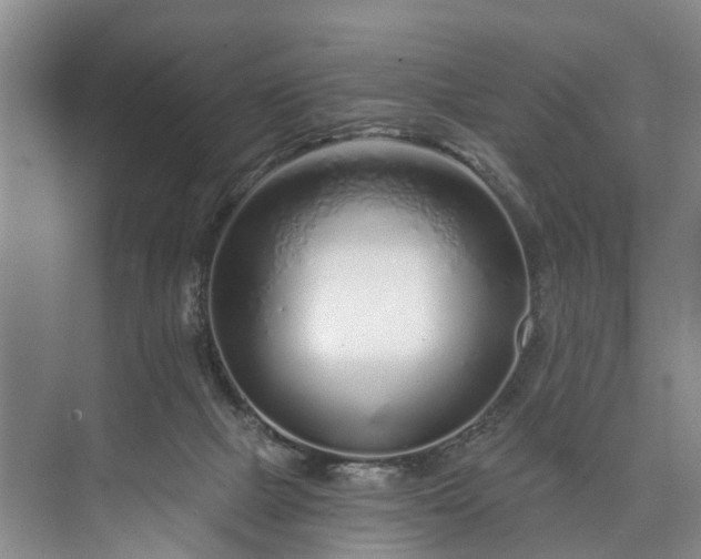 X0000072950073200608041318