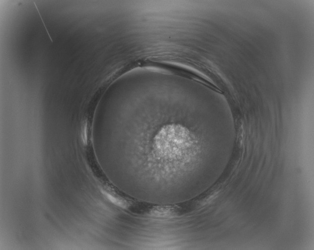 X0000072950076200608041318