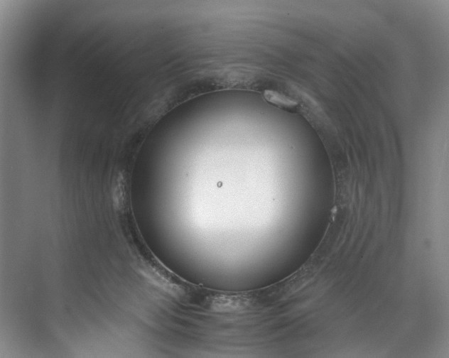 X0000072950077200608041319