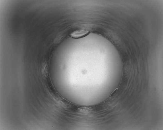 X0000072950079200608041319