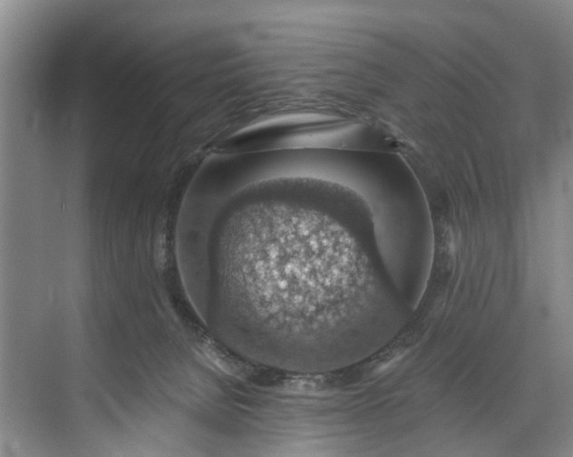 X0000072950080200608041319