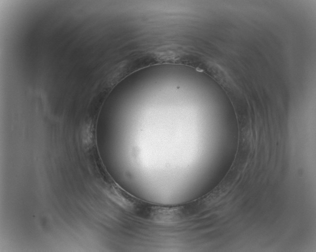 X0000072950081200608041319