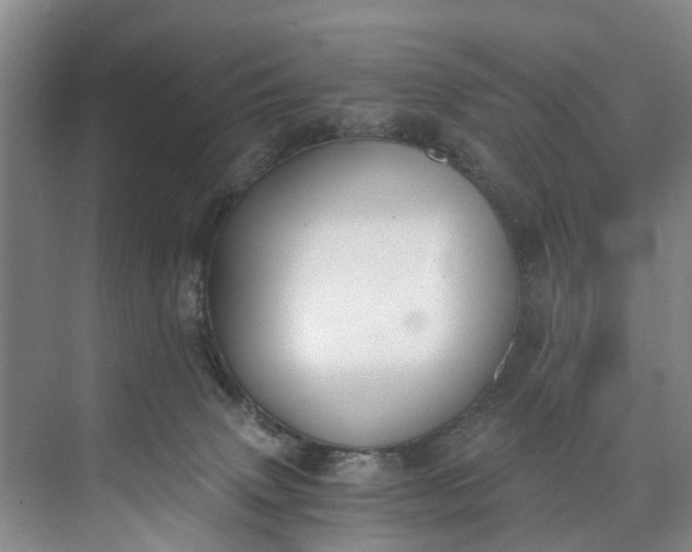 X0000072950083200608041319