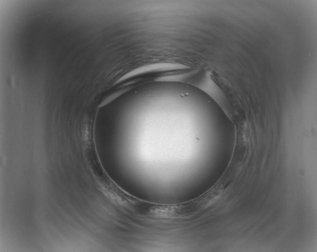 X0000072950084200608041319