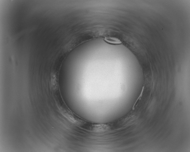 X0000072950087200608041319