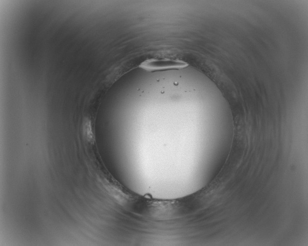 X0000072950089200608041319