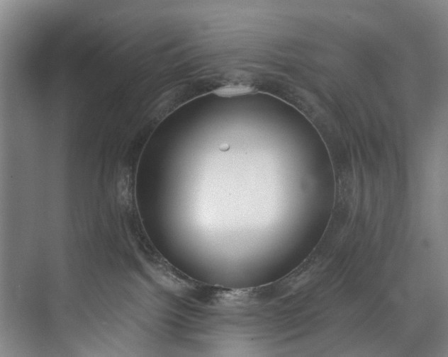 X0000072950092200608041319