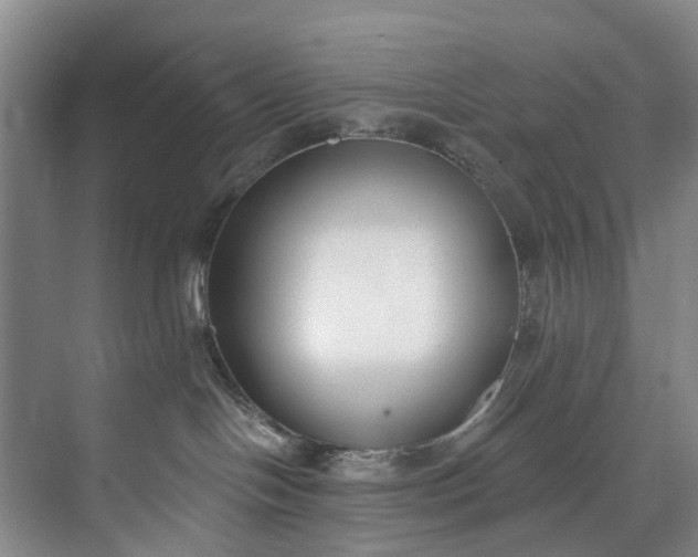 X0000072950094200608041319