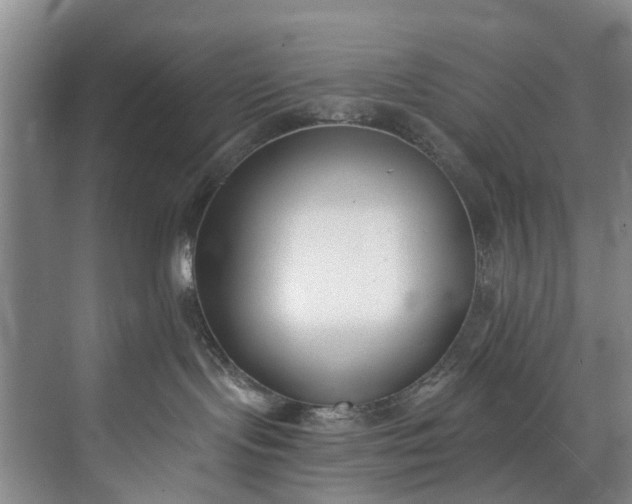 X0000072950095200608041319